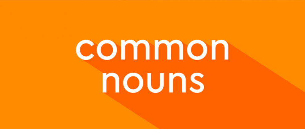 اسم عام یا common noun چیست