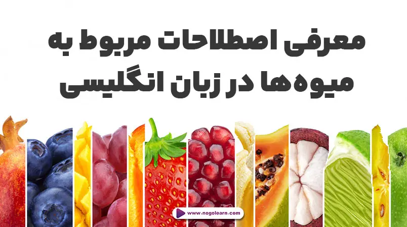 اصطلاحات مربوط به میوه ها در انگلیسی