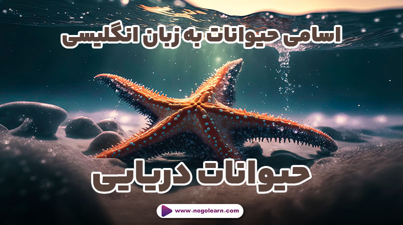 اسامی حیوانات به انگلیسی