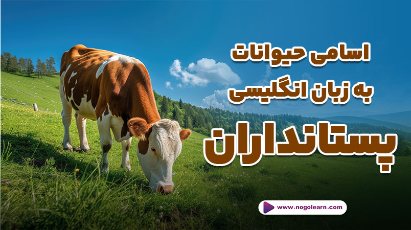 اسامی حیوانات به انگلیسی